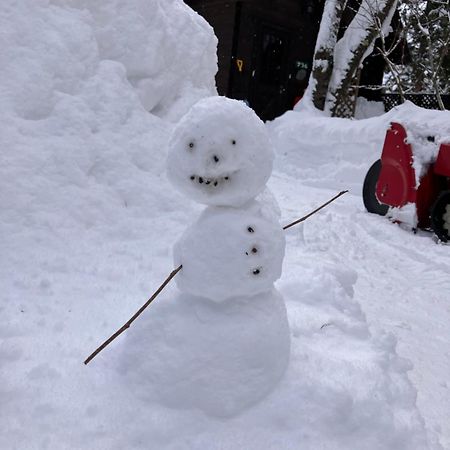 Hakuba Cottage Gram Esterno foto