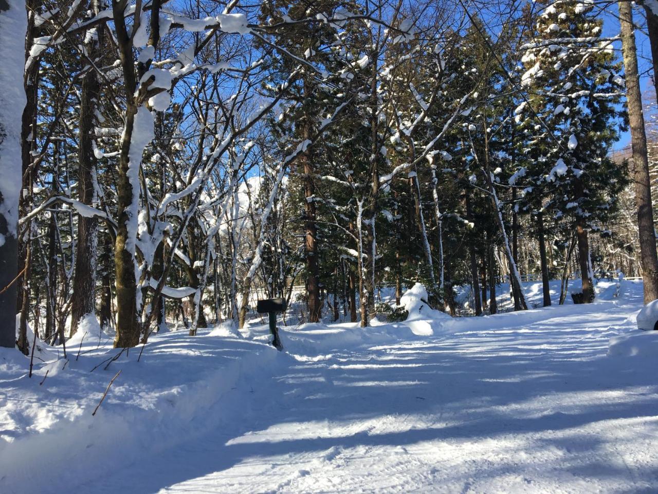 Hakuba Cottage Gram Esterno foto