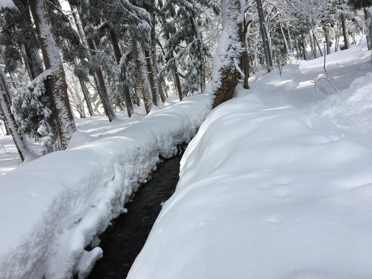 Hakuba Cottage Gram Esterno foto