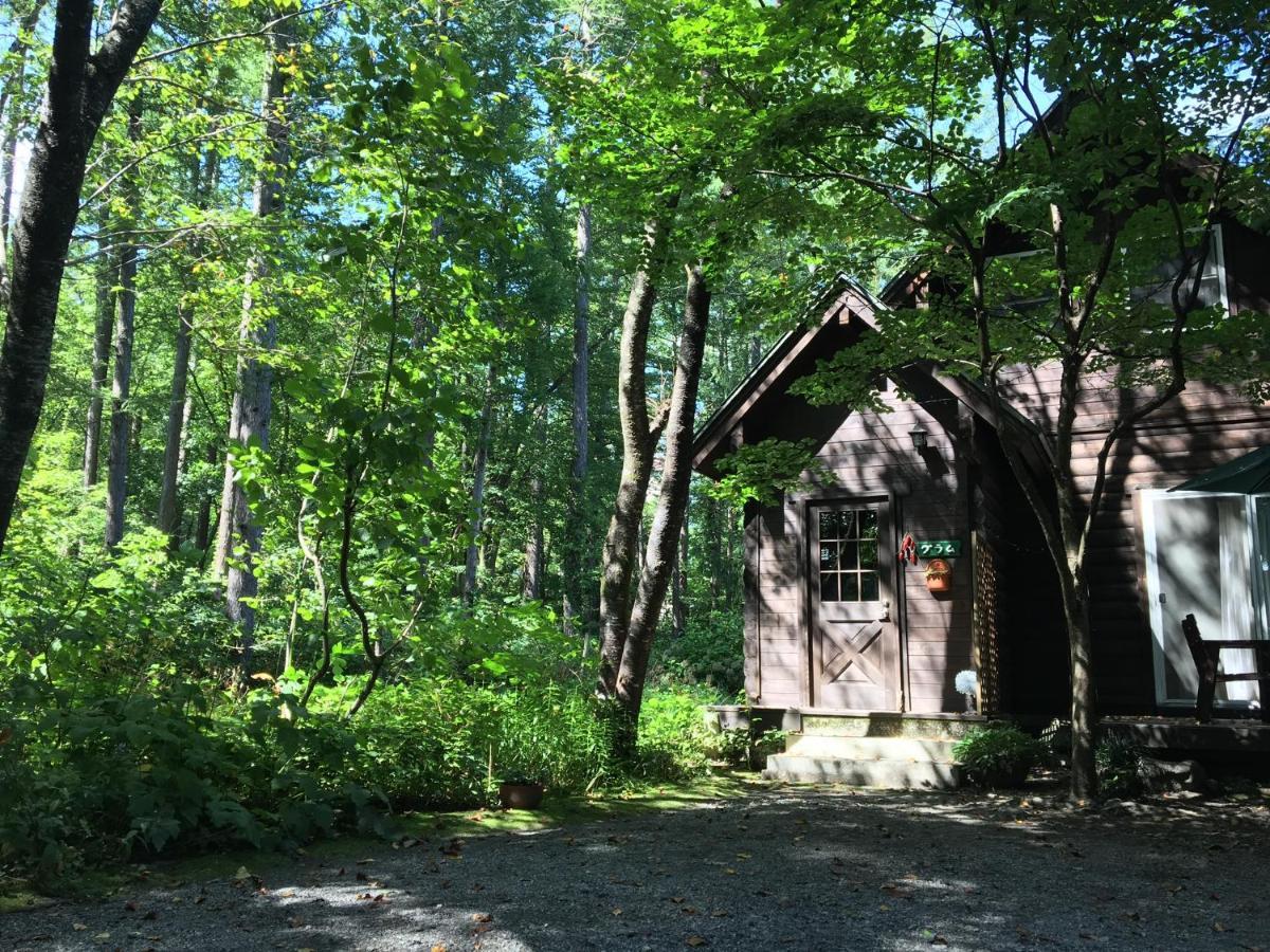 Hakuba Cottage Gram Esterno foto